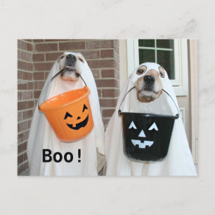Golden Retriever Halloween Ghosts Postcard