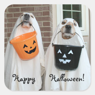Golden Retriever Halloween Ghosts Square Sticker