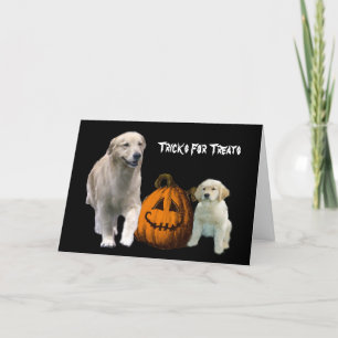 Golden Retriever Halloween Greeting Card