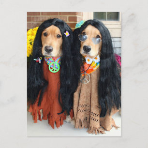 Golden Retriever Halloween Hippie Postcard