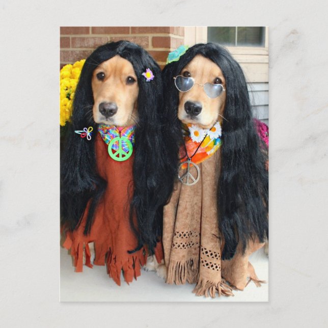 Golden Retriever Halloween Hippie Postcard (Front)