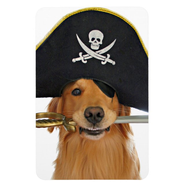 Golden Retriever Halloween Pirate Magnet (Vertical)