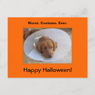 Golden Retriever Halloween Postcard