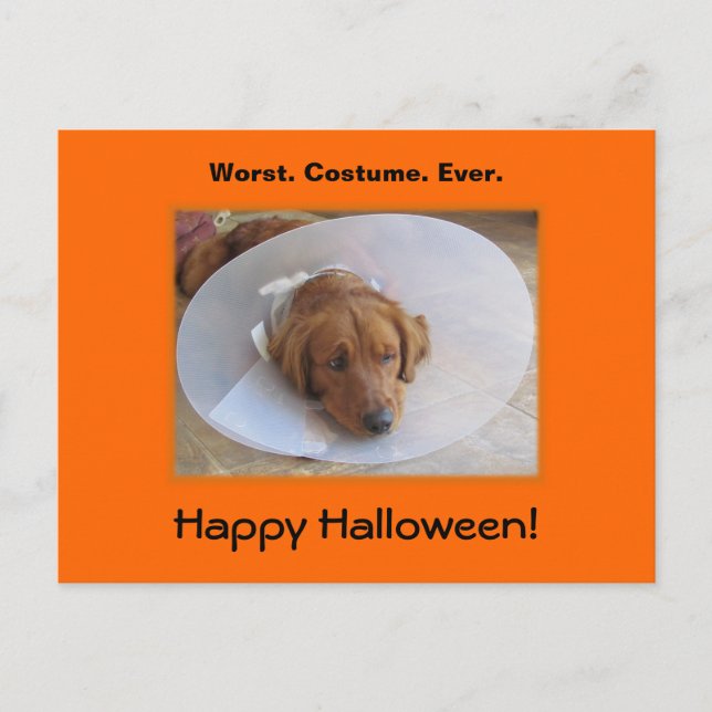 Golden Retriever Halloween Postcard (Front)