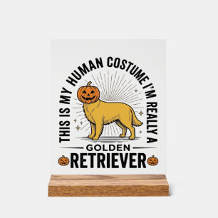 Golden Retriever Halloween Pumpkin Costume Design_ Acrylic Sign