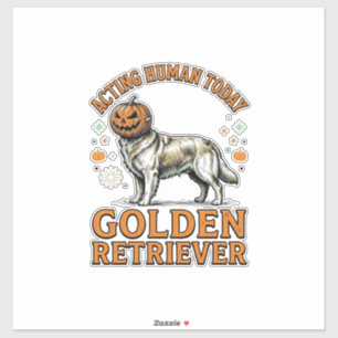 Golden Retriever Halloween Pumpkin Dog Costume Shi
