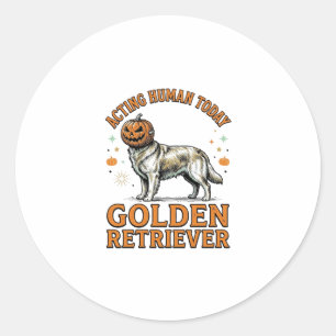 Golden Retriever Halloween Pumpkin Dog Costume Shi Classic Round Sticker