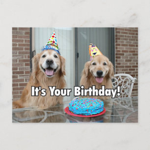 Golden Retriever Happy Birthday Cake Postcard