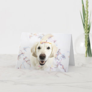 Golden Retriever Happy Birthday Greeting Card