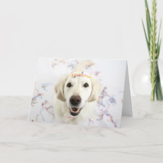 Golden Retriever Happy Birthday Greeting Card