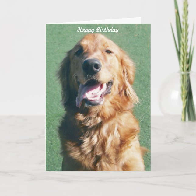 Golden Retriever Happy Birthday Greeting Card (Front)