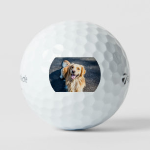 golden-retriever-happy golf balls