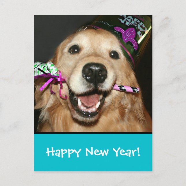 Golden Retriever Happy New Year Postcard (Front)