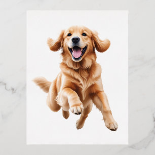 Golden Retriever Happy Playful Fun Jumping In Air Foil Holiday Postcard