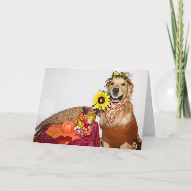 Golden Retriever Harvest Thanksgiving Holiday Card (Front)