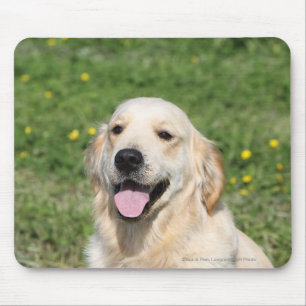 Golden Retriever Headshot 1 Mouse Mat