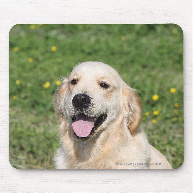 Golden Retriever Headshot 1 Mouse Mat (Front)