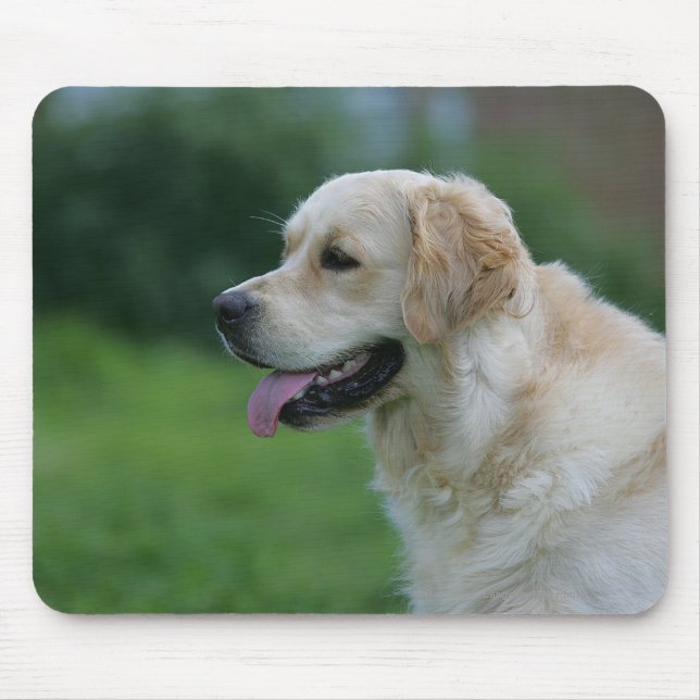 Golden Retriever Headshot 2 2 Mouse Mat (Front)