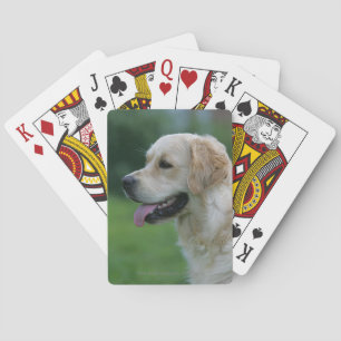 Golden Retriever Headshot 2 2 Playing Cards