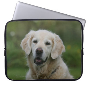 Golden Retriever Headshot 2 Laptop Sleeve
