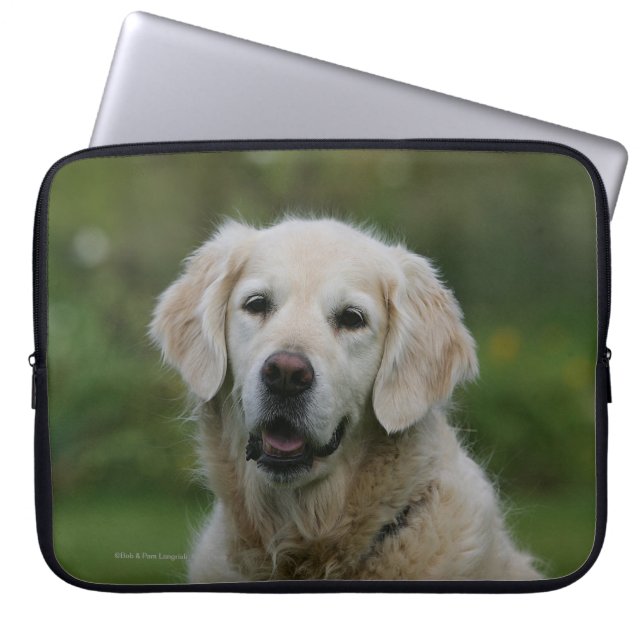 Golden Retriever Headshot 2 Laptop Sleeve (Front)