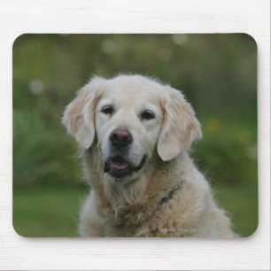 Golden Retriever Headshot 2 Mouse Mat