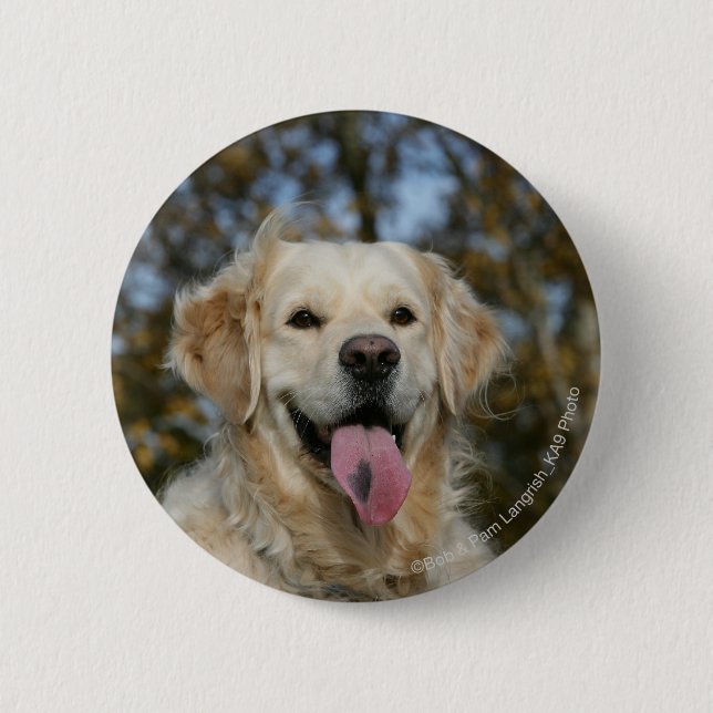 Golden Retriever Headshot 3 6 Cm Round Badge (Front)