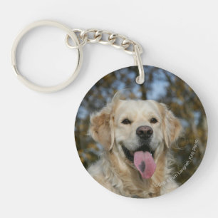 Golden Retriever Headshot 3 Key Ring