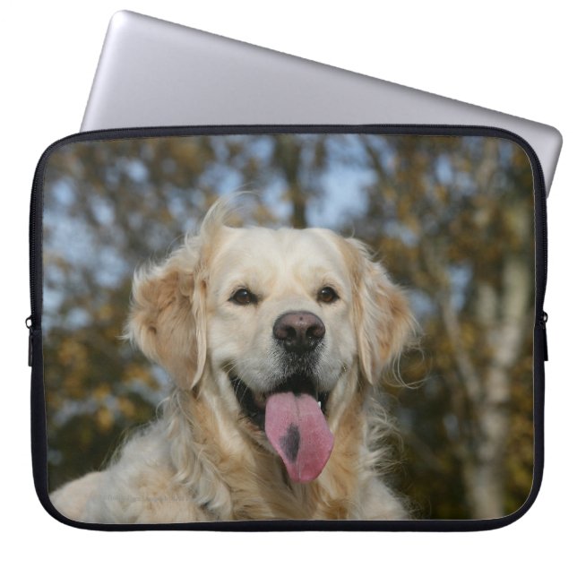 Golden Retriever Headshot 3 Laptop Sleeve (Front)