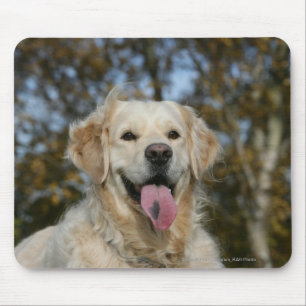 Golden Retriever Headshot 3 Mouse Mat