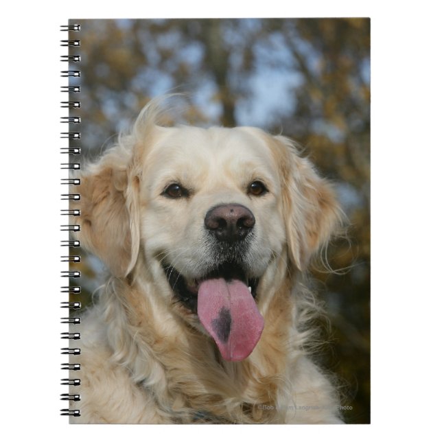 Golden Retriever Headshot 3 Notebook (Front)