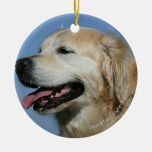 Golden Retriever Headshot 4 Ceramic Tree Decoration