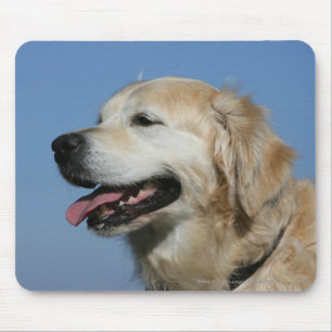 Golden Retriever Headshot 4 Mouse Mat