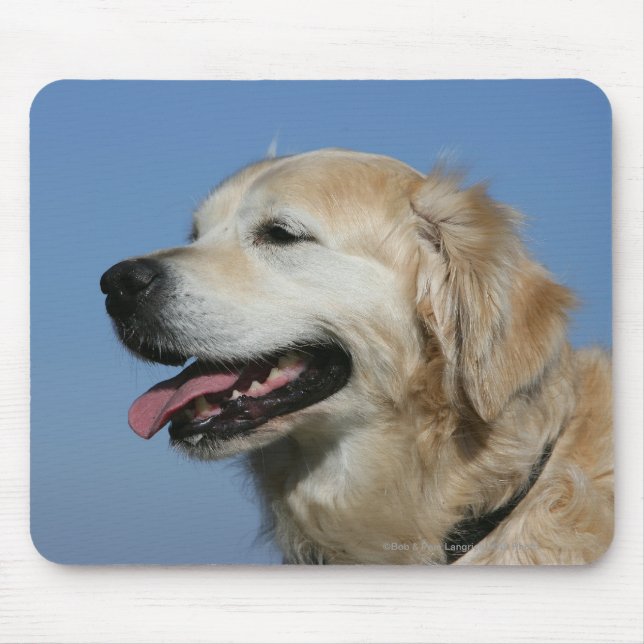 Golden Retriever Headshot 4 Mouse Mat (Front)