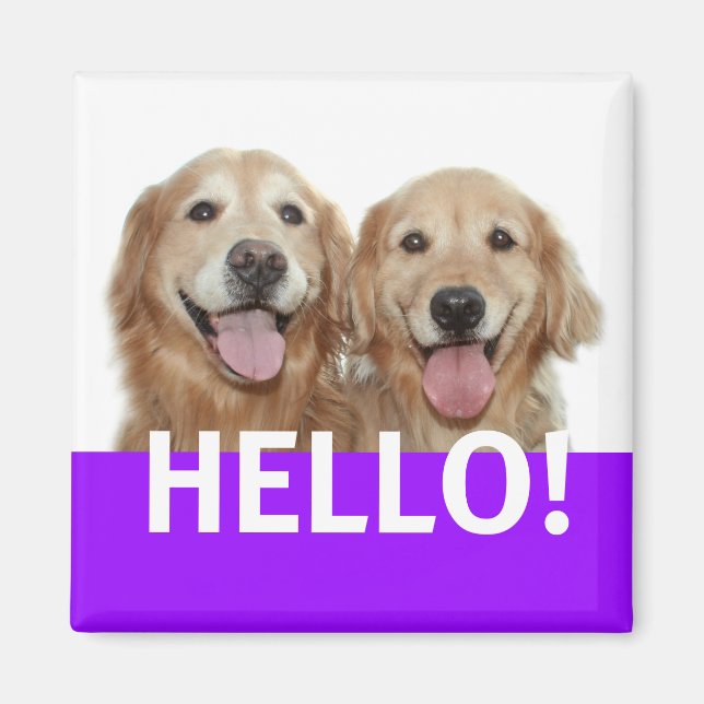 Golden Retriever Hello Magnet (Front)