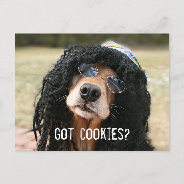 Golden Retriever Hippie "Got Cookies?" Postcard (Front)