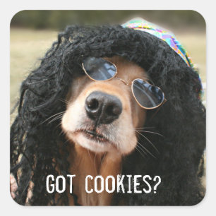 Golden Retriever Hippie Got Cookies Square Sticker