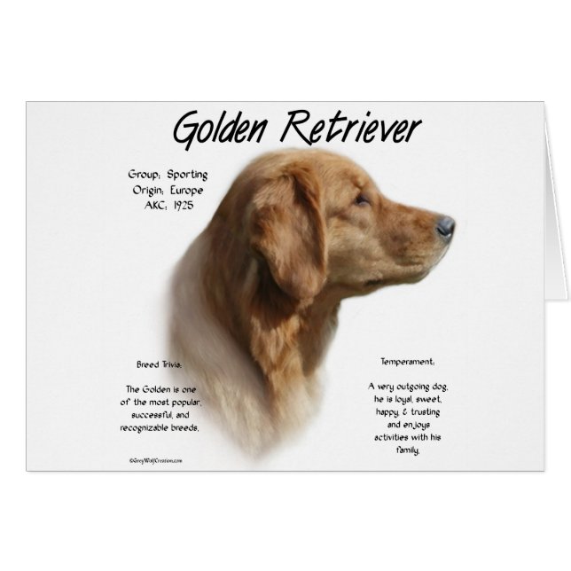 Golden Retriever History Design (Front Horizontal)