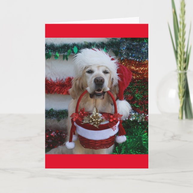 Golden Retriever holding a Christmas Basket Holiday Card (Front)