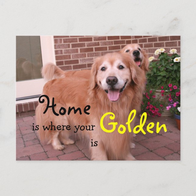 Golden Retriever Home Quote Postcard (Front)