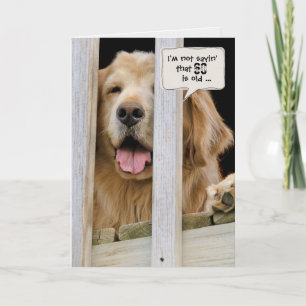Golden Retriever humour for 60th birthday Card