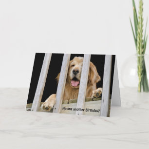 Golden Retriever Humourous Birthday Card