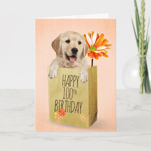 Golden Retriever in 100th Birthday Bag  Card (Front)