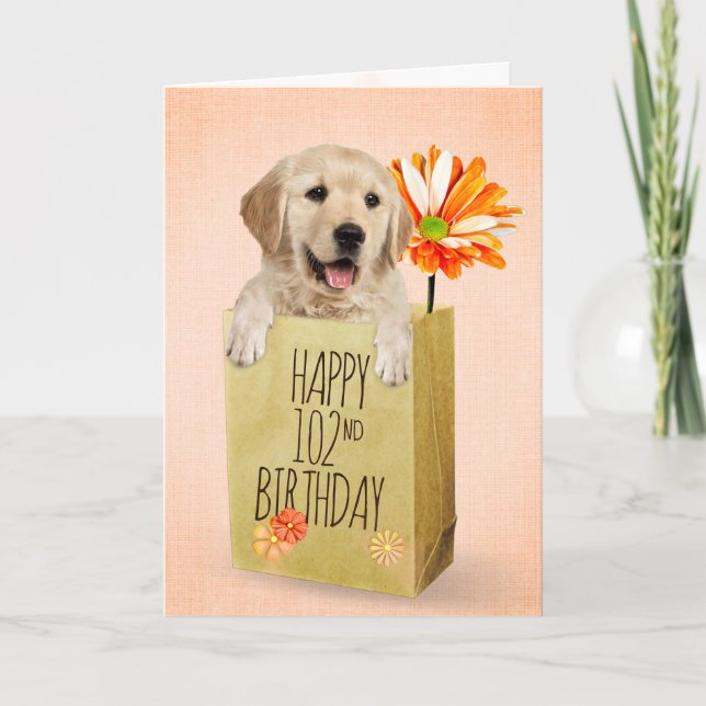 Golden Retriever in 102nd Birthday Bag  Card (Front)
