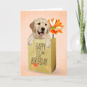 Golden Retriever in 102nd Birthday Bag  Card