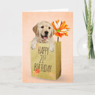 Golden Retriever in 21st Birthday Bag   Card