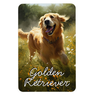 Golden Retriever in a Sunlit Meadow Magnet