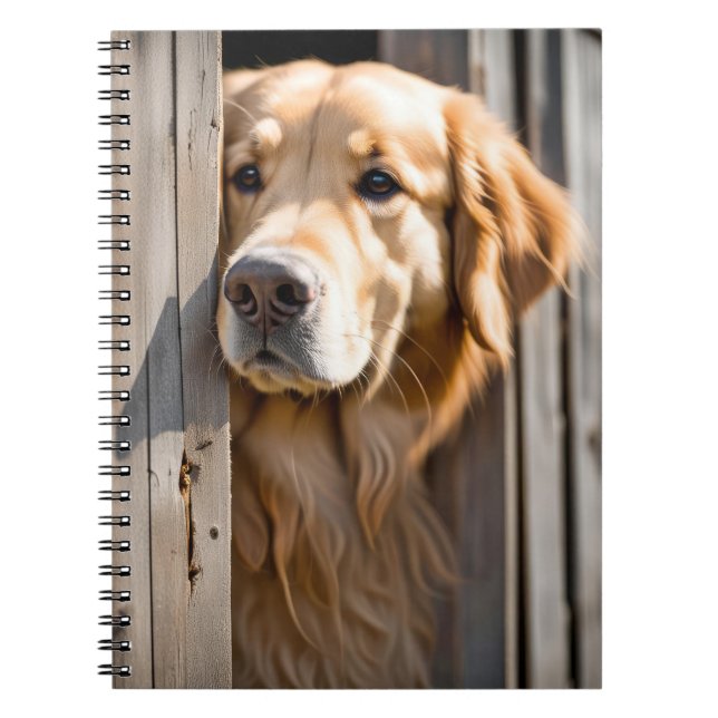 Golden Retriever In Barn Door Notebook (Front)