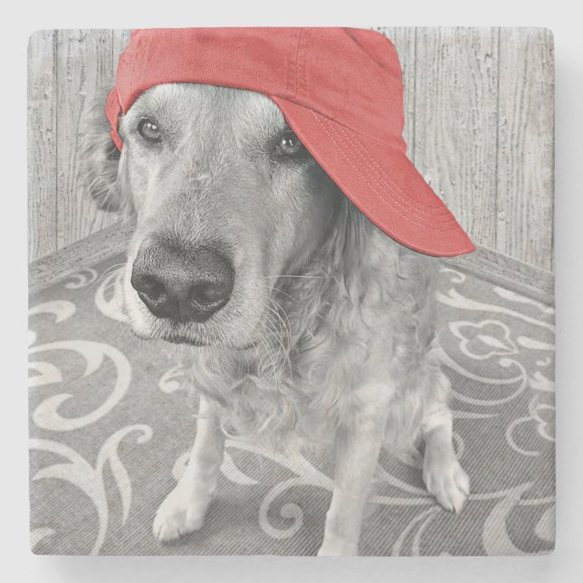 golden retriever in baseball cap stone coaster (Front)