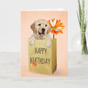 Golden Retriever in Birthday Bag Card